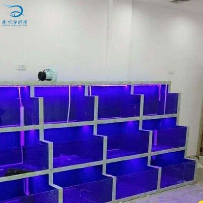 廣州魚缸批發(fā)市場：廣州水族文化探秘