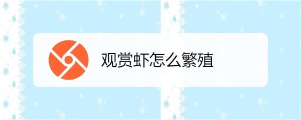 觀賞蝦繁殖需要注意什么
