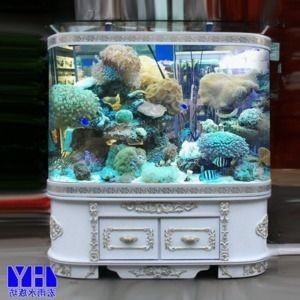 廣德縣桃州鎮(zhèn)俊巍魚(yú)缸經(jīng)營(yíng)部:廣德賣(mài)魚(yú)缸的進(jìn)貨渠道 魚(yú)缸百科 第1張 廣德縣桃州鎮(zhèn)俊巍魚(yú)缸經(jīng)營(yíng)部:廣德賣(mài)魚(yú)缸的進(jìn)貨渠道 廣德縣桃州鎮(zhèn)俊巍魚(yú)缸經(jīng)營(yíng)部:廣德賣(mài)魚(yú)缸的進(jìn)貨渠道 魚(yú)缸百科 第1張