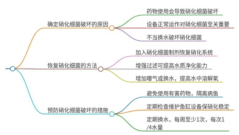 硝化細(xì)菌失敗后如何補(bǔ)救？