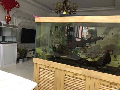彩蝶魚缸公司地址（彩蝶魚缸公司地址介紹）