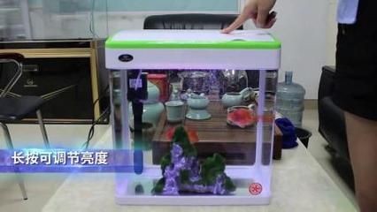 小魚缸安裝步驟視頻教程：小魚缸安裝步驟視頻教程：小魚缸安裝步驟視頻教程