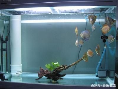 小魚缸安裝步驟視頻教程：小魚缸安裝步驟視頻教程：小魚缸安裝步驟視頻教程