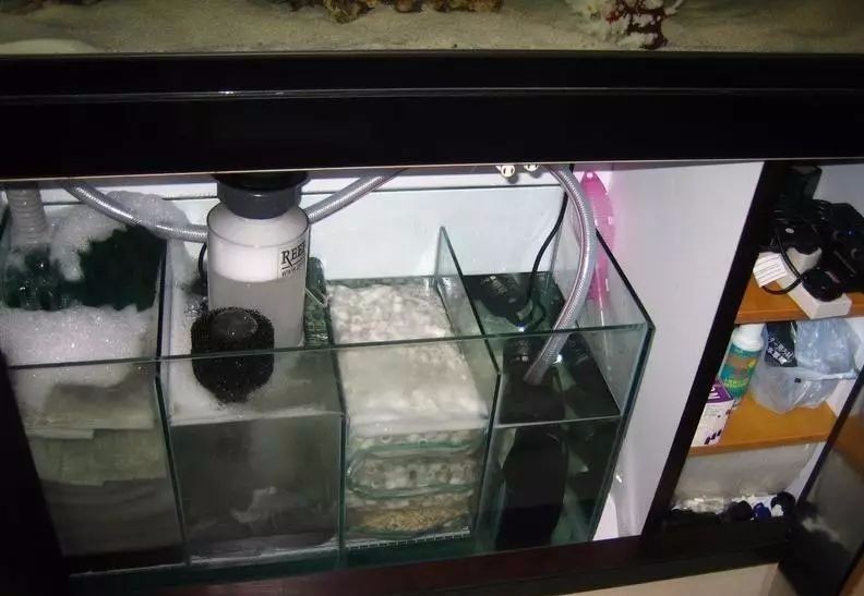 長城杯龍魚水泵有哪些型號？