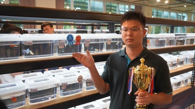 孔雀魚世界杯的獎金是多少？
