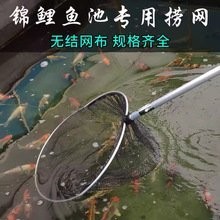 龍魚網(wǎng)撈