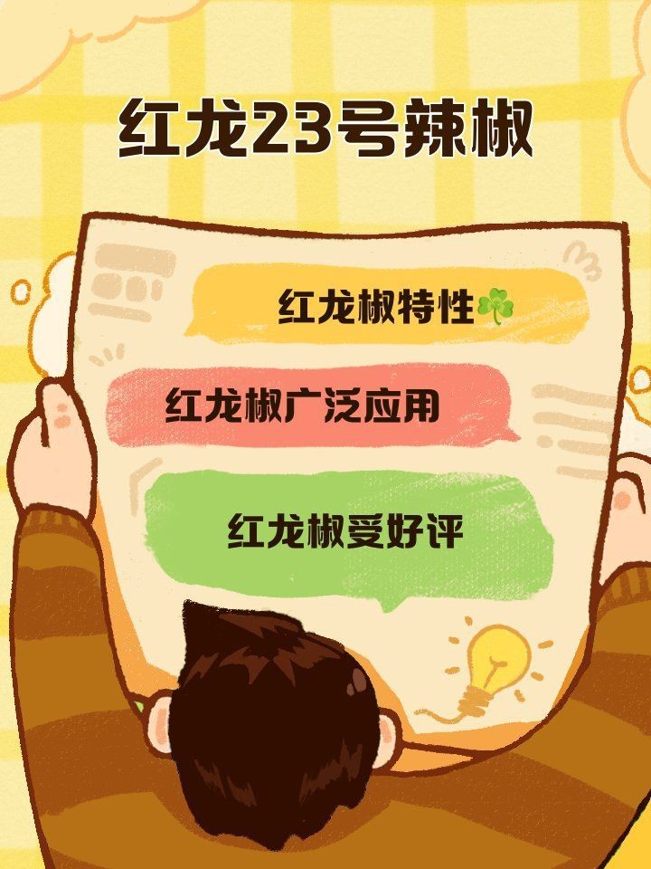 紅龍23號辣椒