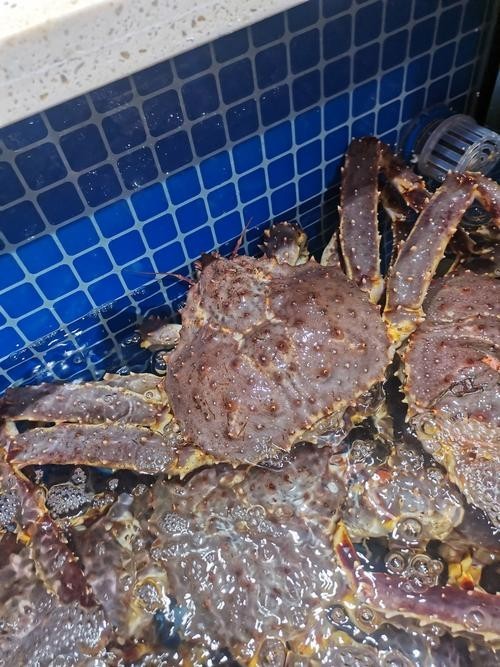 黃沙水產(chǎn)中心有哪些特色水產(chǎn)品