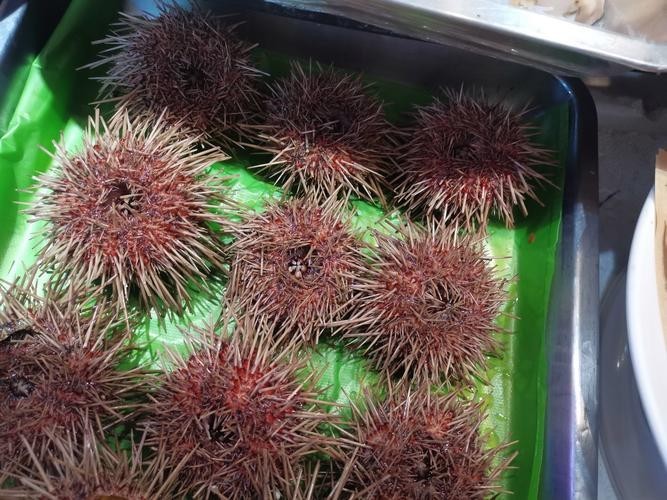 黃沙水產(chǎn)中心有哪些特色水產(chǎn)品