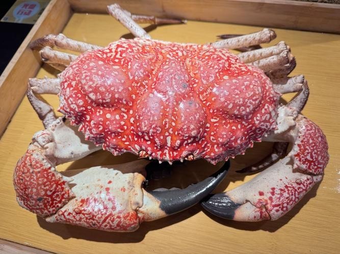黃沙水產(chǎn)中心有哪些特色水產(chǎn)品