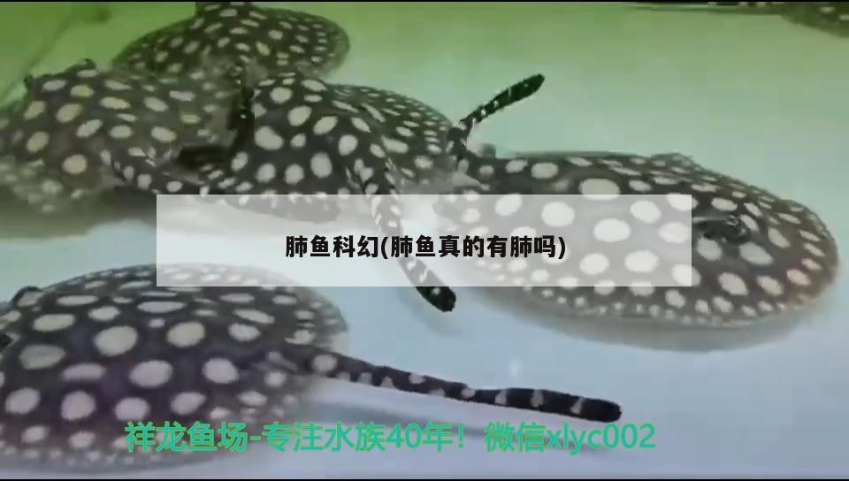 南京奧趣科技有限責任公司，