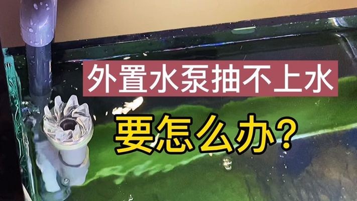 平鄉縣增芳水族館（平鄉縣增芳水族館電話）