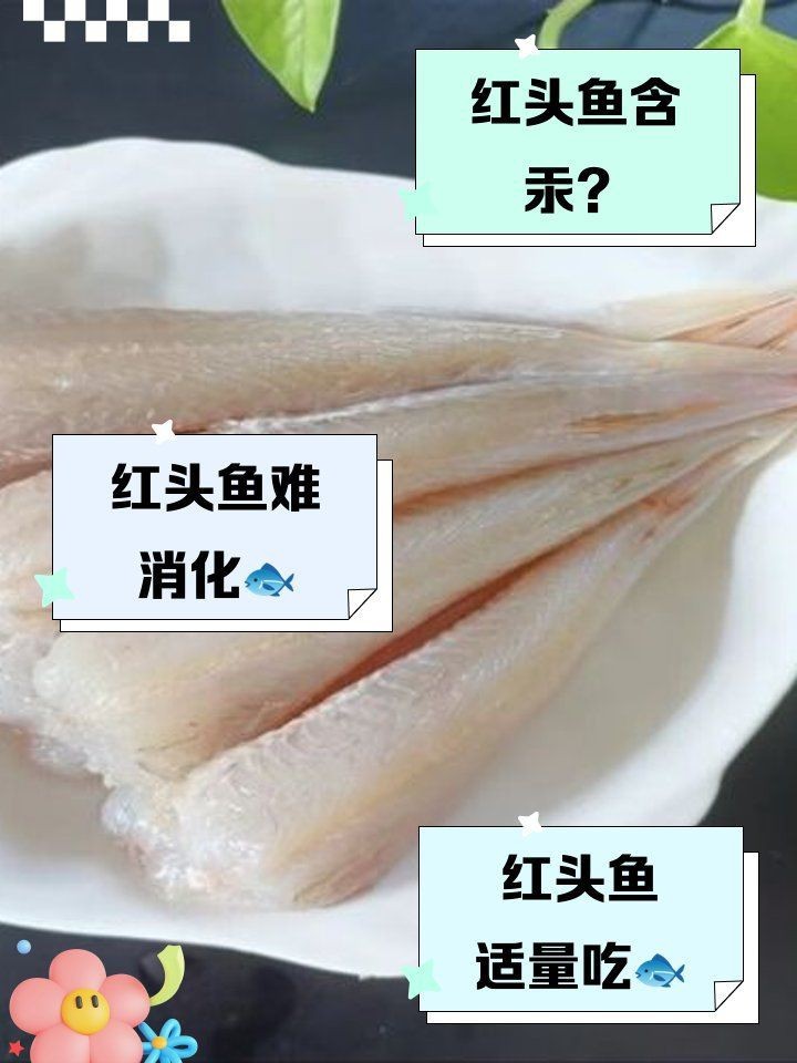 紅頭魚為啥不建議吃