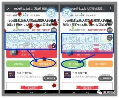 關于金龍魚的故事作文怎么寫：關于金龍魚的故事作文