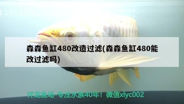 森森成品魚缸過濾改裝方案：森森成品魚缸過濾改裝方案的網站推薦