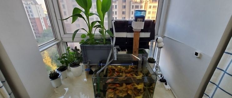 森森成品魚缸過濾改裝方案：森森成品魚缸過濾改裝方案的網站推薦