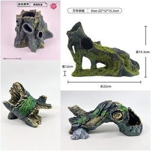 皮譜魚缸：森森h(huán)e480魚缸布置技巧，皮球魚疾病預(yù)防方法 皮譜魚缸：森森h(huán)e480魚缸布置技巧，皮球魚疾病預(yù)防方法 魚缸百科 第2張