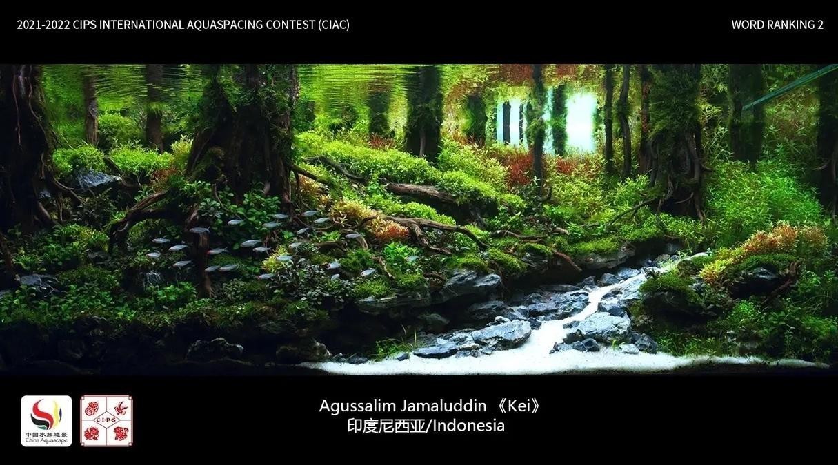 長城杯觀賞魚比賽2021獲獎(jiǎng)作品