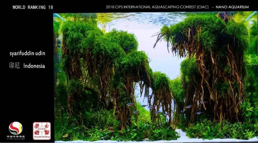 長城杯觀賞魚比賽2021獲獎(jiǎng)作品