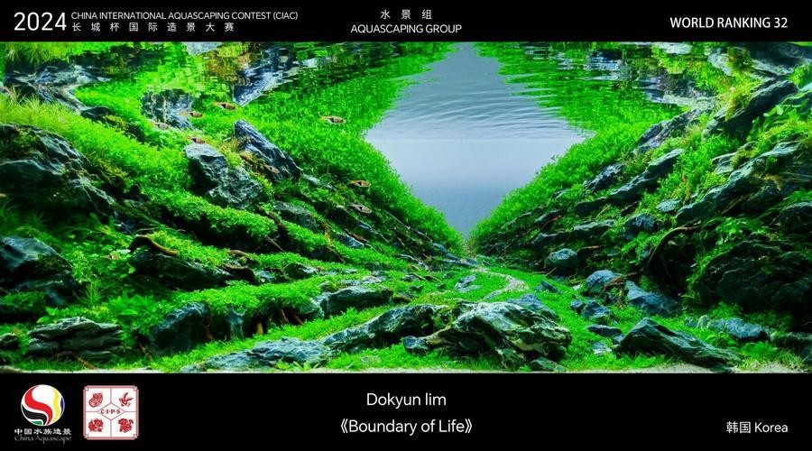 長城杯觀賞魚比賽2021獲獎(jiǎng)作品