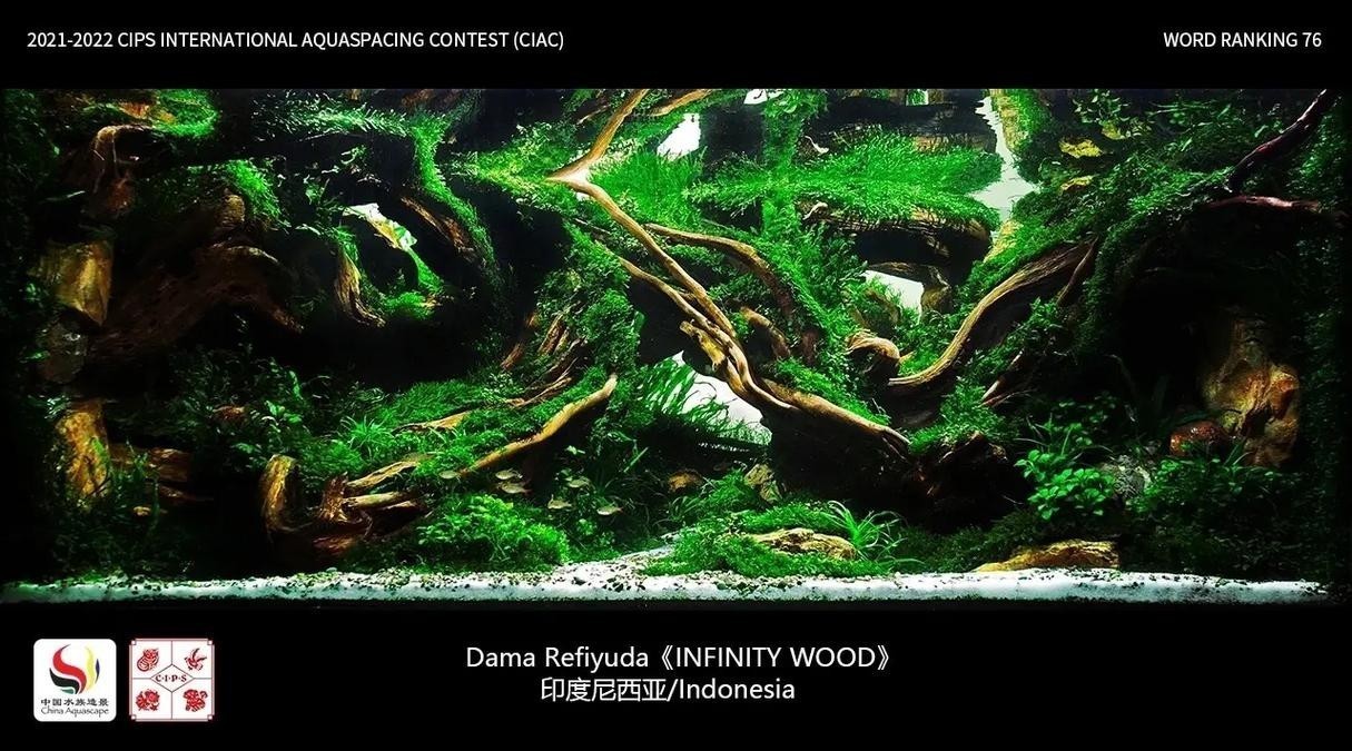 長城杯觀賞魚比賽2021獲獎(jiǎng)作品