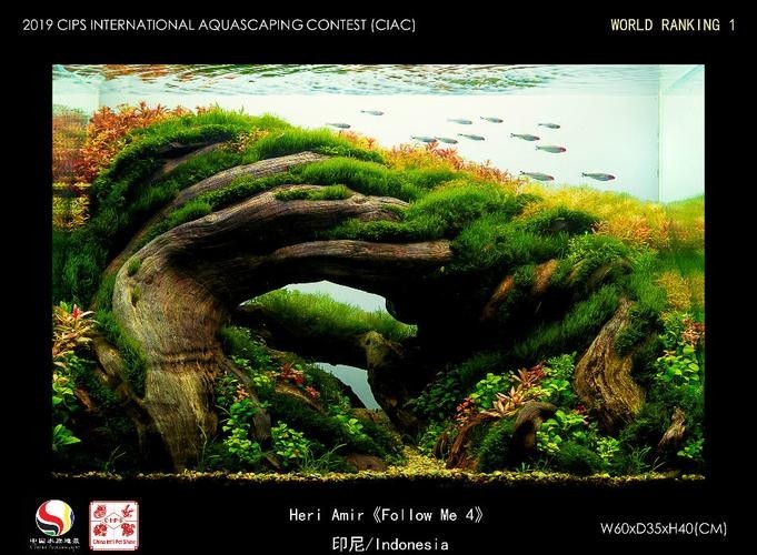 長城杯觀賞魚比賽2021獲獎(jiǎng)作品