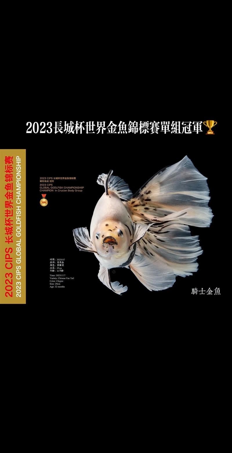 長城杯觀賞魚比賽2021獲獎(jiǎng)作品