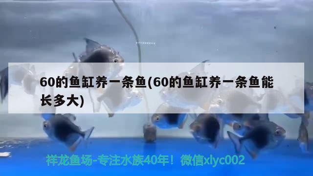 河北一零八零文化傳媒有限公司