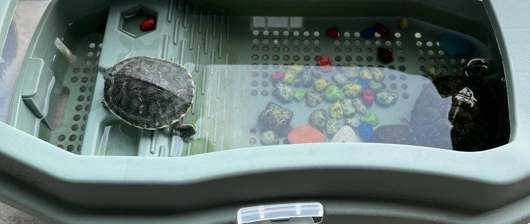 爬將軍魚缸怎么樣：爬將軍魚缸與其他品牌對比，爬將軍魚缸用戶反饋匯總