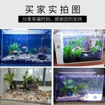 爬將軍魚缸怎么樣：爬將軍魚缸與其他品牌對比，爬將軍魚缸用戶反饋匯總