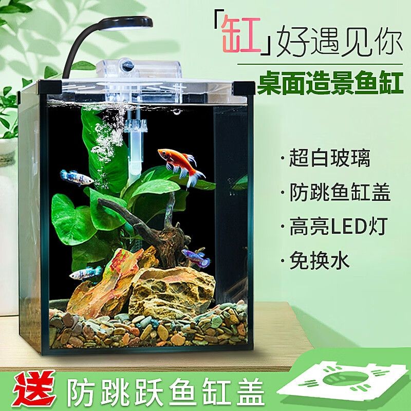 爬將軍魚缸怎么樣：爬將軍魚缸與其他品牌對比，爬將軍魚缸用戶反饋匯總