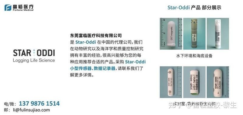 冠軍龍魚手術后恢復情況如何？