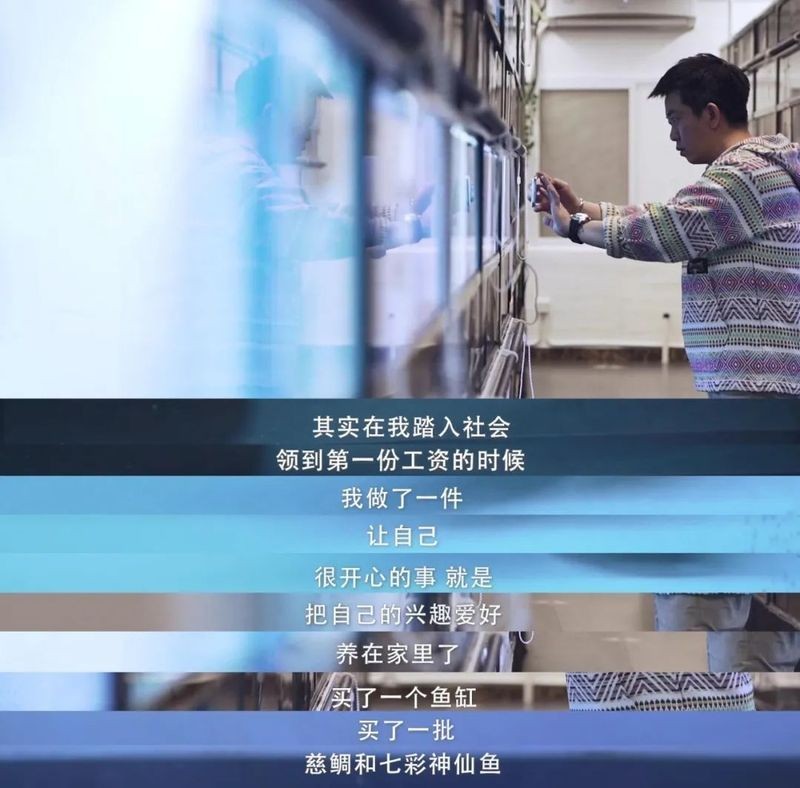 龍魚世界繁殖有限公司
