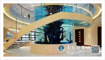 浮法玻璃和亞克力魚缸哪個好用些（亞克力魚缸材質選擇浮法玻璃魚缸材質的選擇亞克力魚缸材質）
