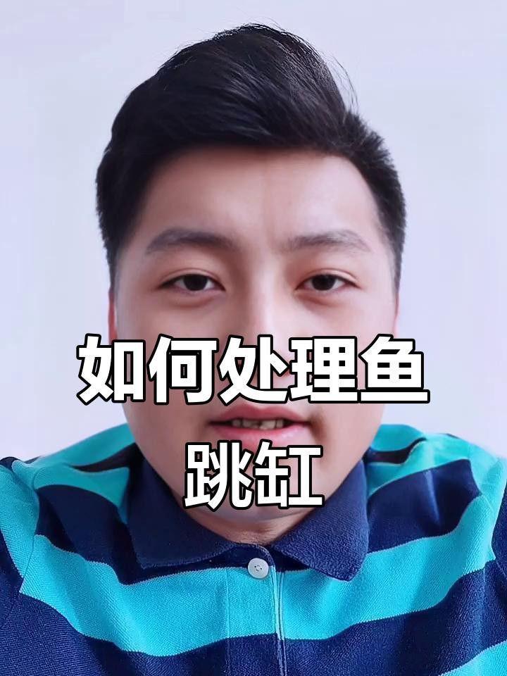 龍魚跳缸后多久開始進(jìn)食？