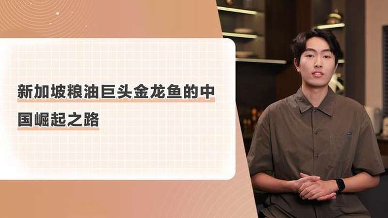 有哪些著名的金龍魚視頻創作者？