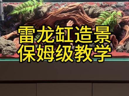 大型龍魚缸造景
