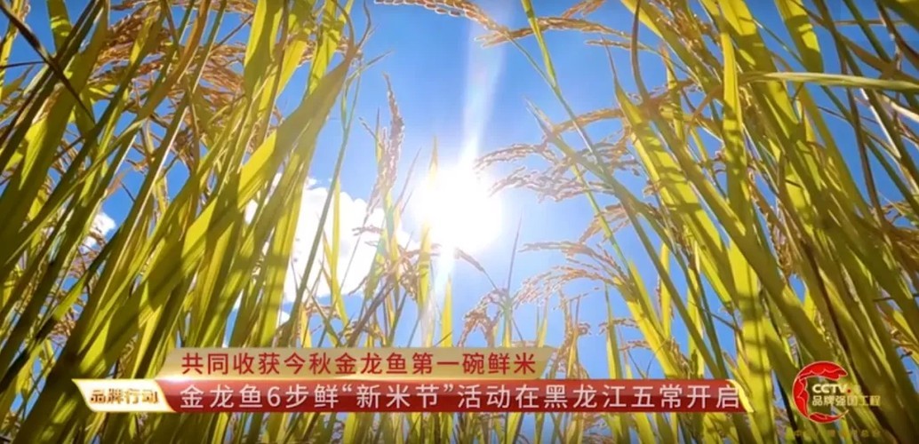 金龍魚冠軍視頻有哪些類型? 2025長(zhǎng)城杯龍魚大賽 第5張 金龍魚冠軍視頻有哪些類型? 金龍魚冠軍視頻有哪些類型? 2025長(zhǎng)城杯龍魚大賽 第5張