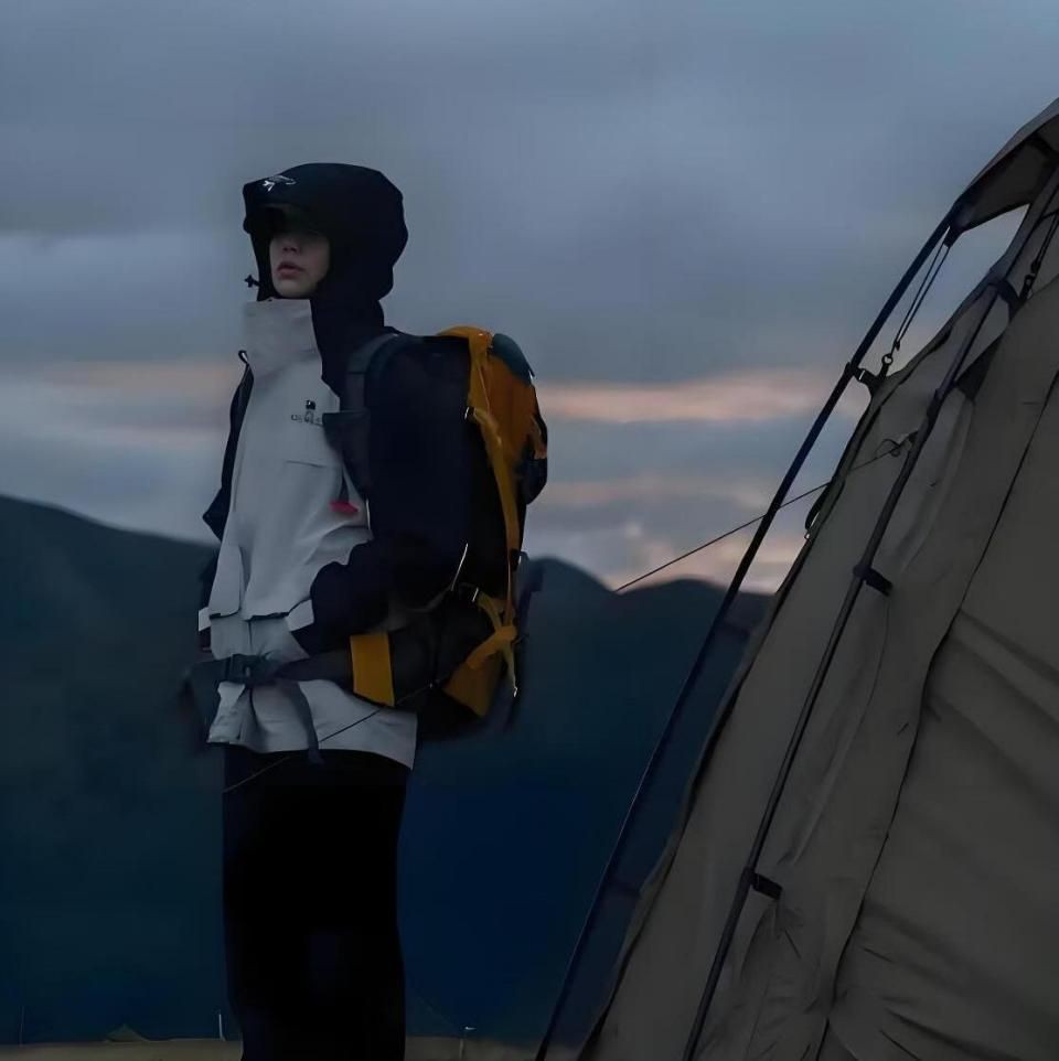 虎鯨會救人嗎