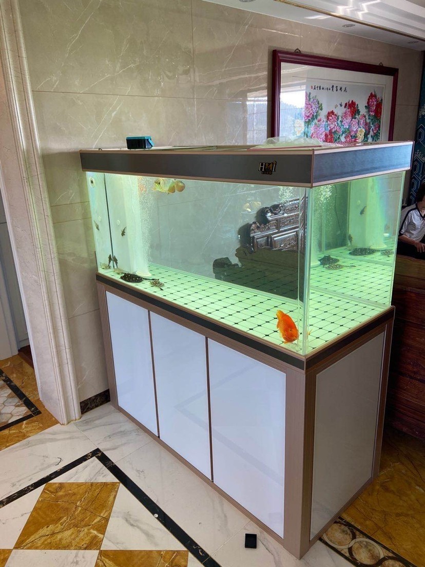 輝賞好水族魚缸工藝廠