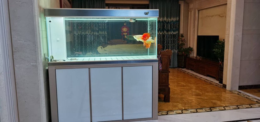 輝賞好水族魚缸工藝廠