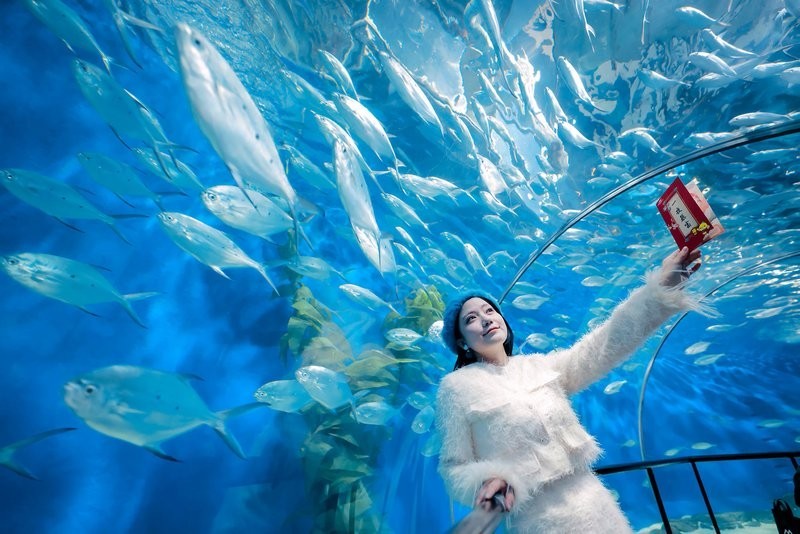 上海水族展2025