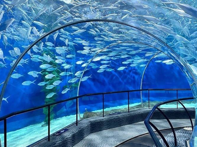 上海水族展2025