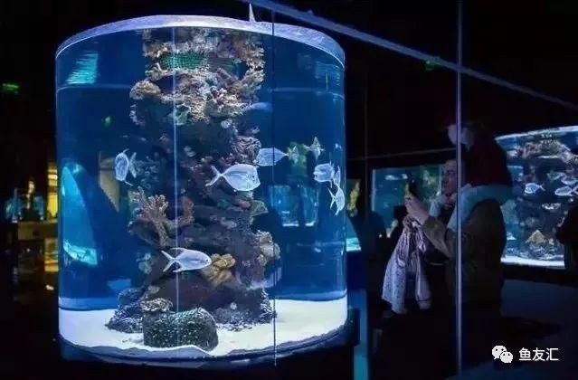 海水魚缸的使用壽命通常與材質、光照、擺放位置等因素有關：海水魚缸使用壽命通常與材質、光照、擺放位置等因素有關