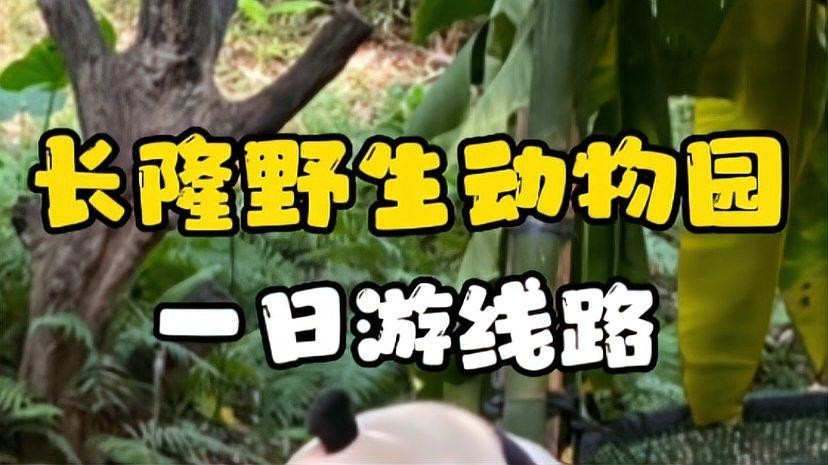 如何購買廣州長隆野生動物園門票？