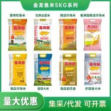 10斤金龍魚價格表