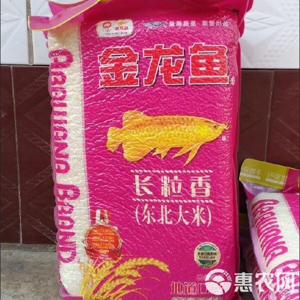 10斤金龍魚價格表