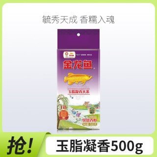 10斤金龍魚價格表