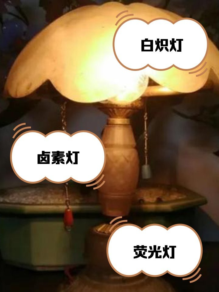 燈種類及名稱大全