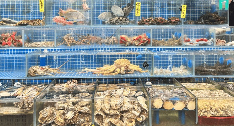黃沙水產市場搬遷后，龍魚批發是否受影響？